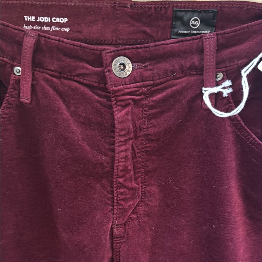 AG Adriano Goldschmied the Jodie Crop velvet pants sz 30 - Picture 4 of 14
